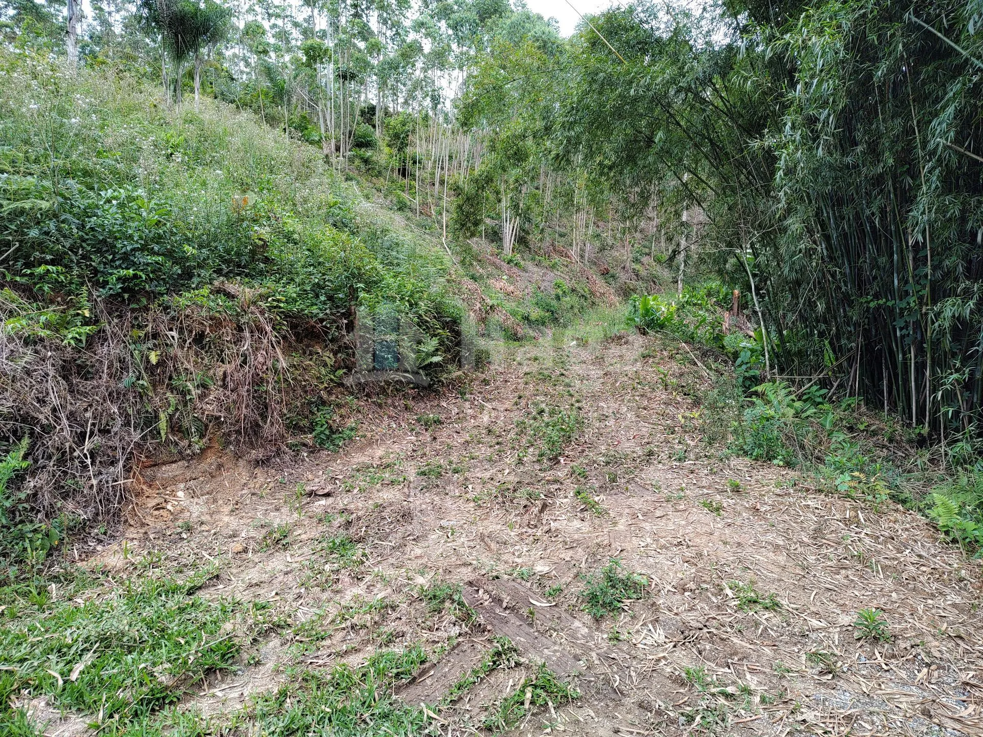 Plot for sale of 7 acres in Botuverá, SC, Brazil