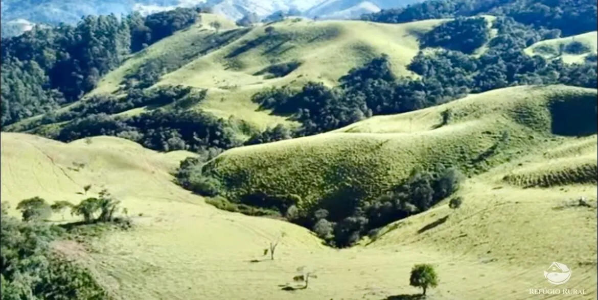 Fazenda à venda de 266 ha em São Bento do Sapucaí, SP, Brasil