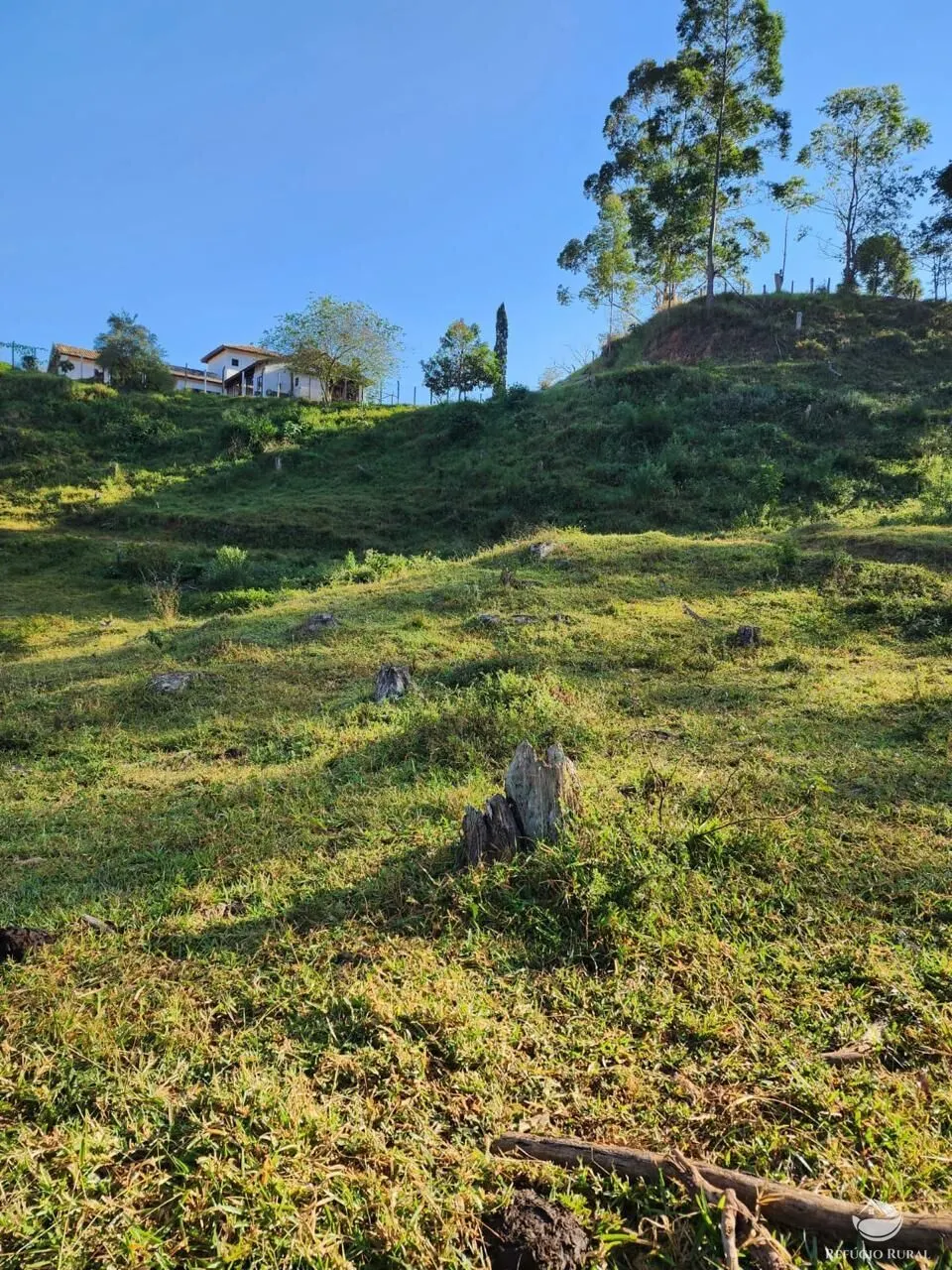 Fazenda à venda de 266 ha em São Bento do Sapucaí, SP, Brasil