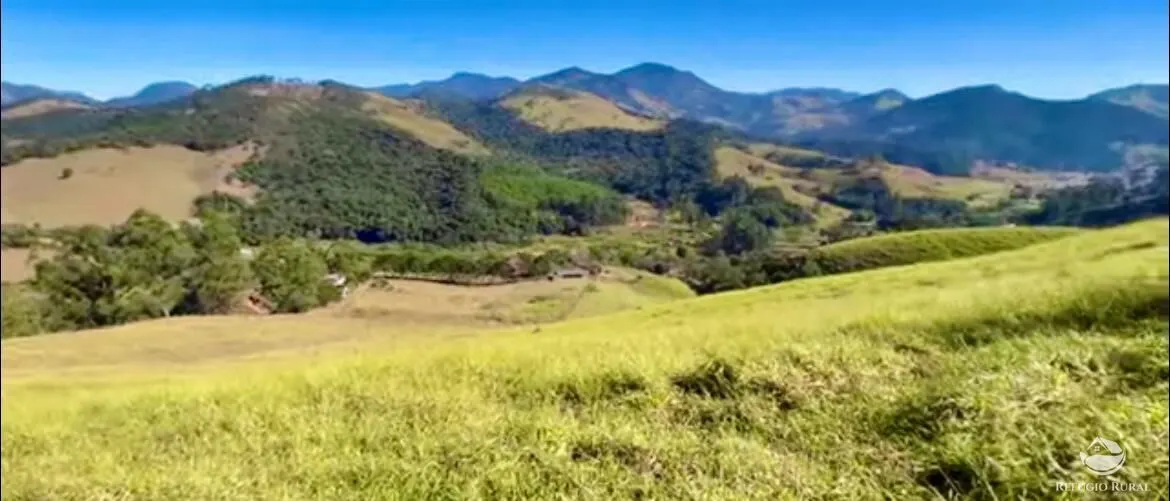 Fazenda à venda de 266 ha em São Bento do Sapucaí, SP, Brasil