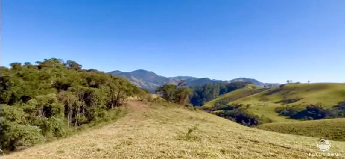 Fazenda à venda de 266 ha em São Bento do Sapucaí, SP, Brasil