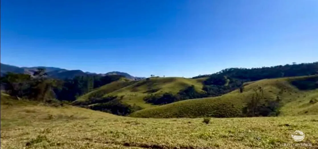 Fazenda à venda de 266 ha em São Bento do Sapucaí, SP, Brasil