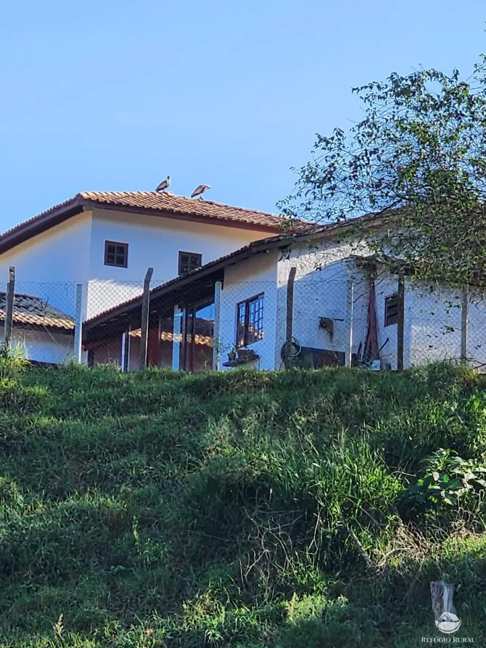 Fazenda à venda de 266 ha em São Bento do Sapucaí, SP, Brasil