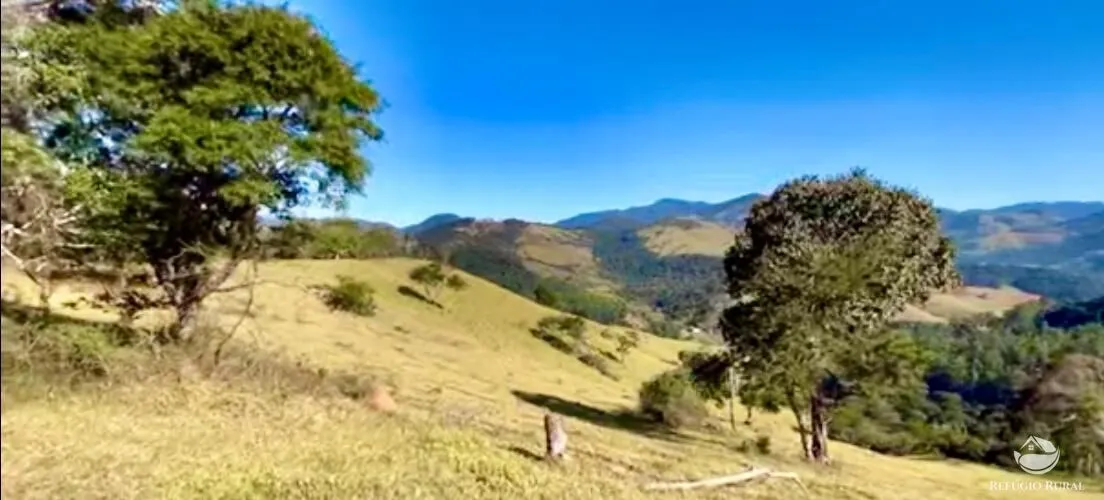 Fazenda à venda de 266 ha em São Bento do Sapucaí, SP, Brasil
