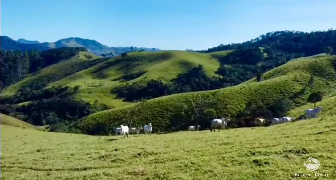 Fazenda à venda de 266 ha em São Bento do Sapucaí, SP, Brasil