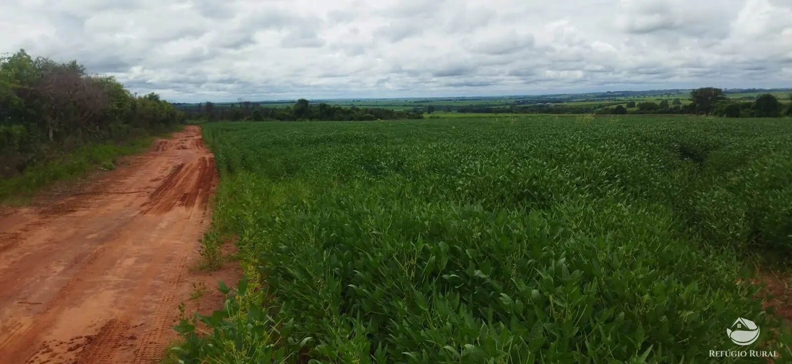 Small farm for sale of 59 acres in Frutal, MG, Brazil