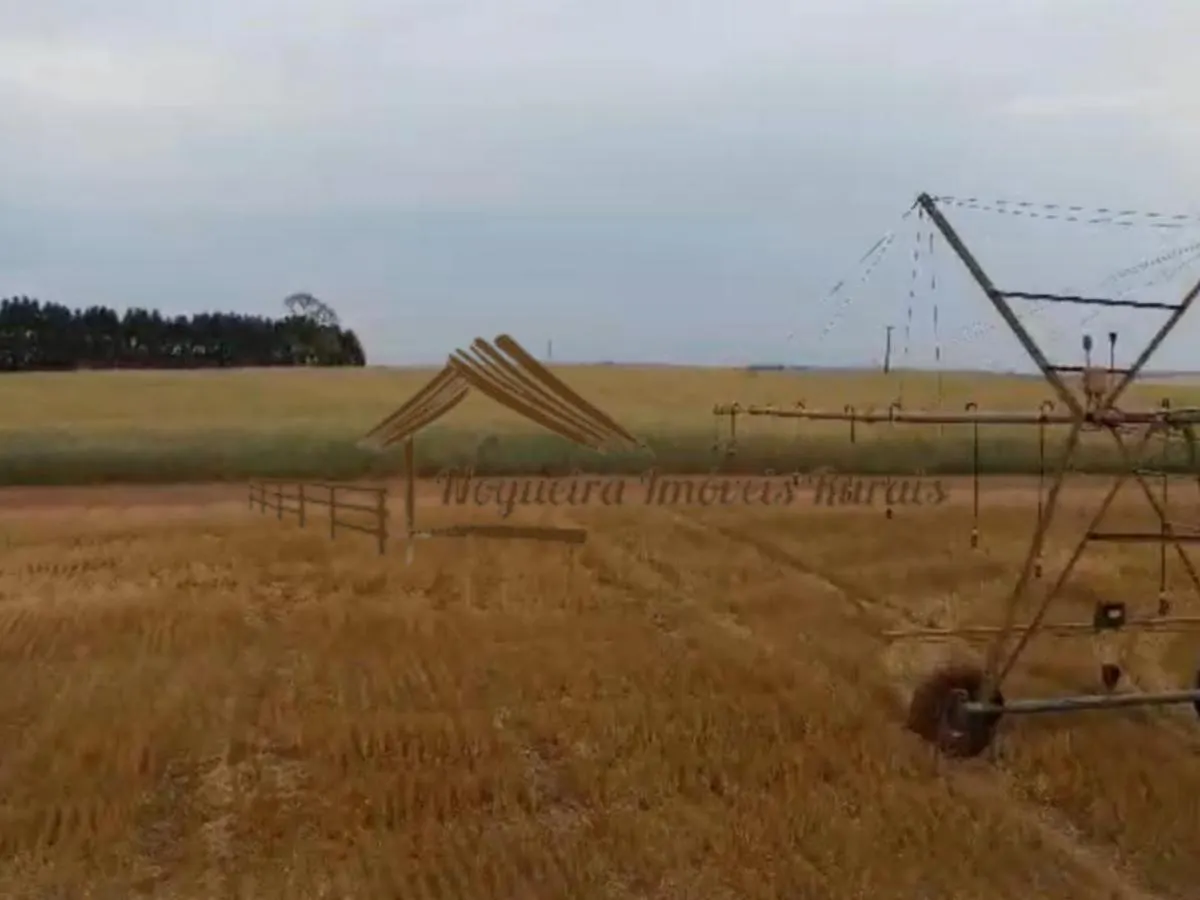 Fazenda à venda de 1.669 ha em Avaré, SP, Brasil