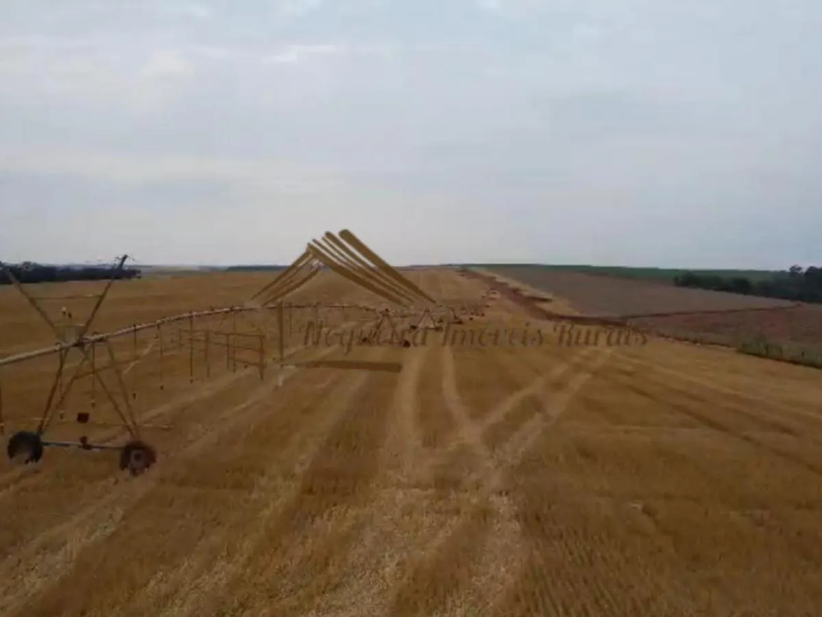 Fazenda à venda de 1.669 ha em Avaré, SP, Brasil