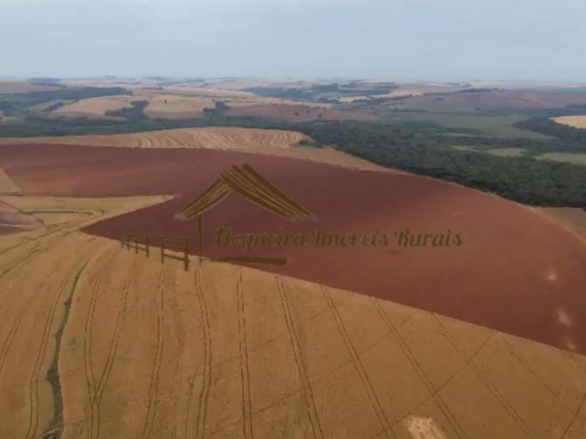 Fazenda à venda de 1.669 ha em Avaré, SP, Brasil