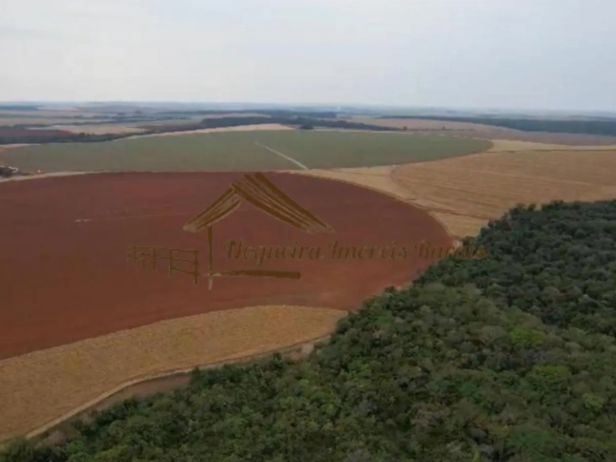 Fazenda à venda de 1.669 ha em Avaré, SP, Brasil