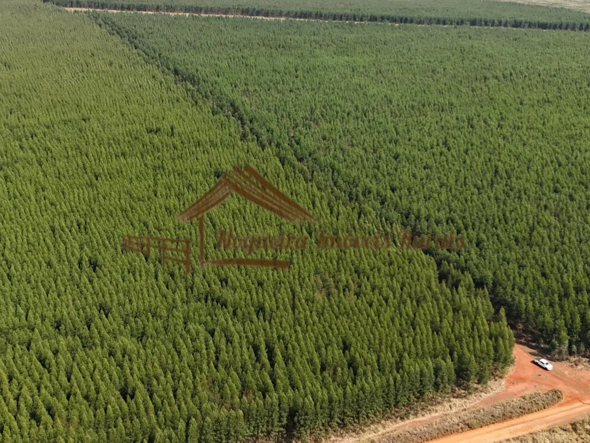 Fazenda à venda de 777 ha em Itu, SP, Brasil