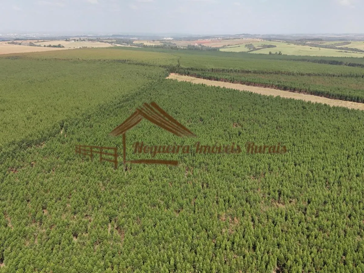 Fazenda à venda de 777 ha em Itu, SP, Brasil