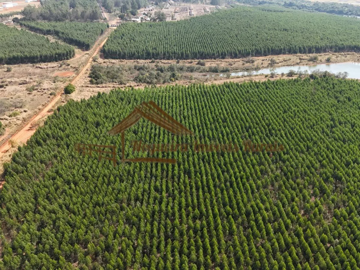 Fazenda à venda de 777 ha em Itu, SP, Brasil