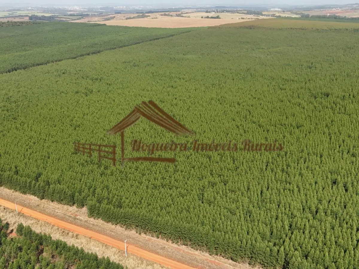 Fazenda à venda de 777 ha em Itu, SP, Brasil