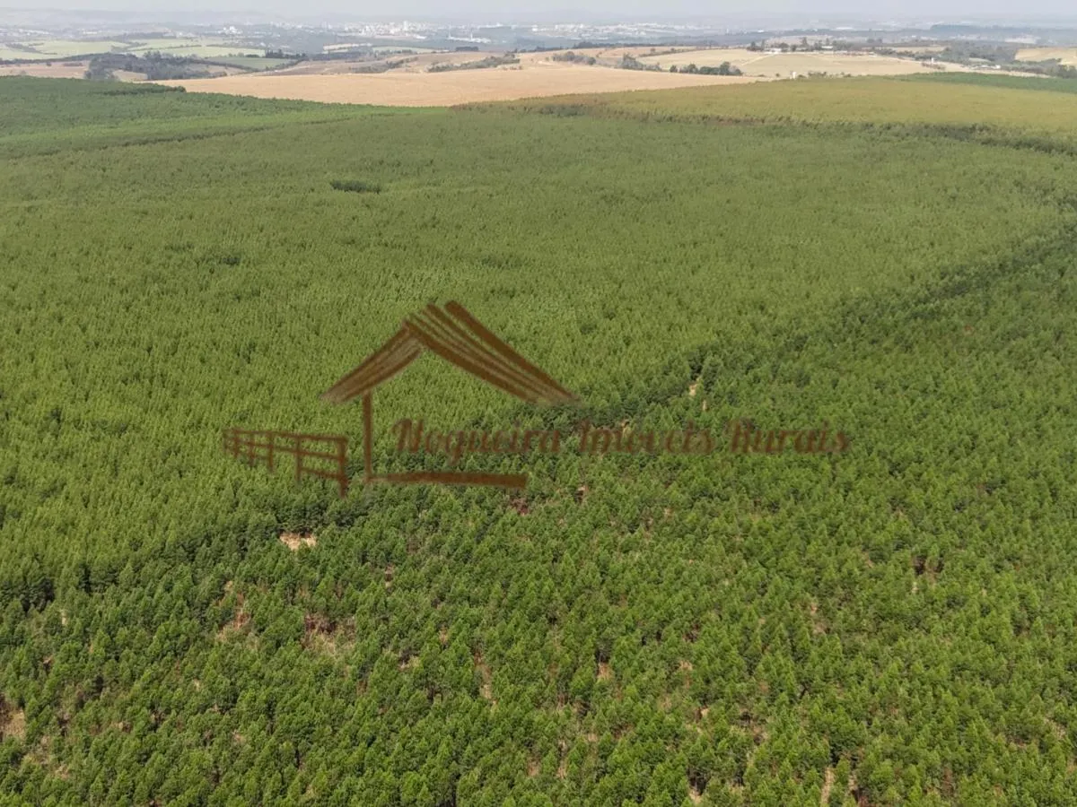Fazenda à venda de 777 ha em Itu, SP, Brasil