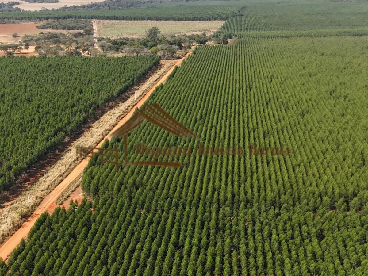 Fazenda à venda de 777 ha em Itu, SP, Brasil