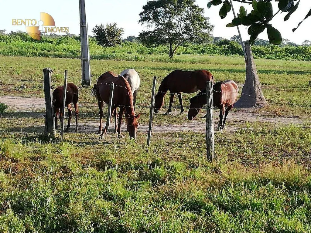 Fazenda à venda de 400 ha em Poconé, MT, Brasil