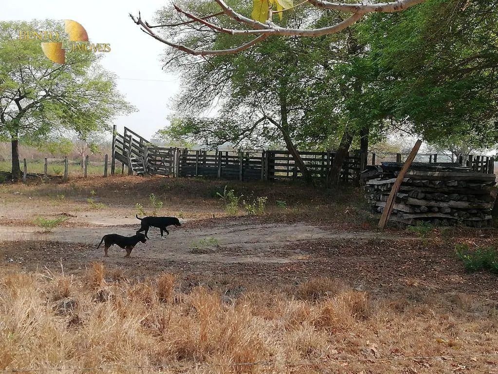 Fazenda à venda de 400 ha em Poconé, MT, Brasil