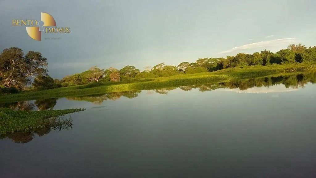 Fazenda à venda de 400 ha em Poconé, MT, Brasil