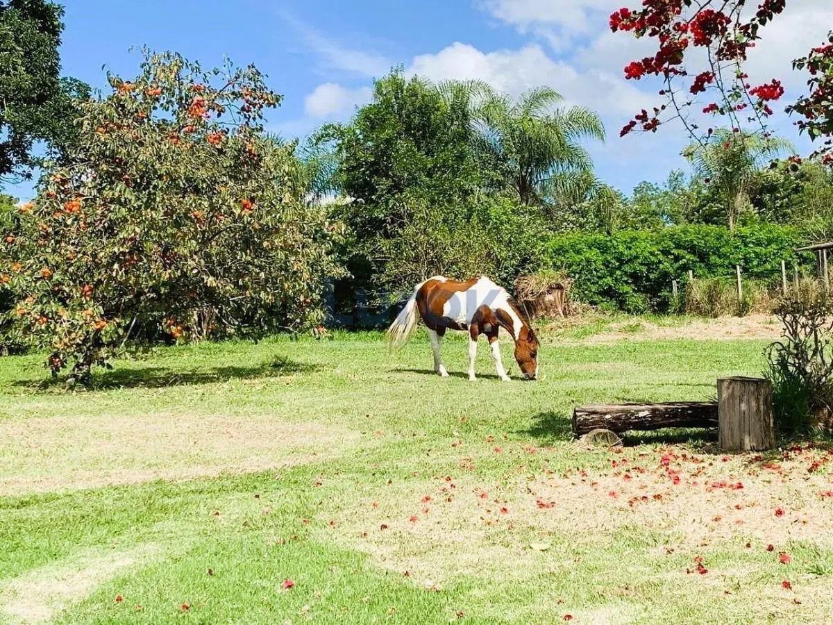 Country home for sale of 6 acres in Tuiuti, SP, Brazil