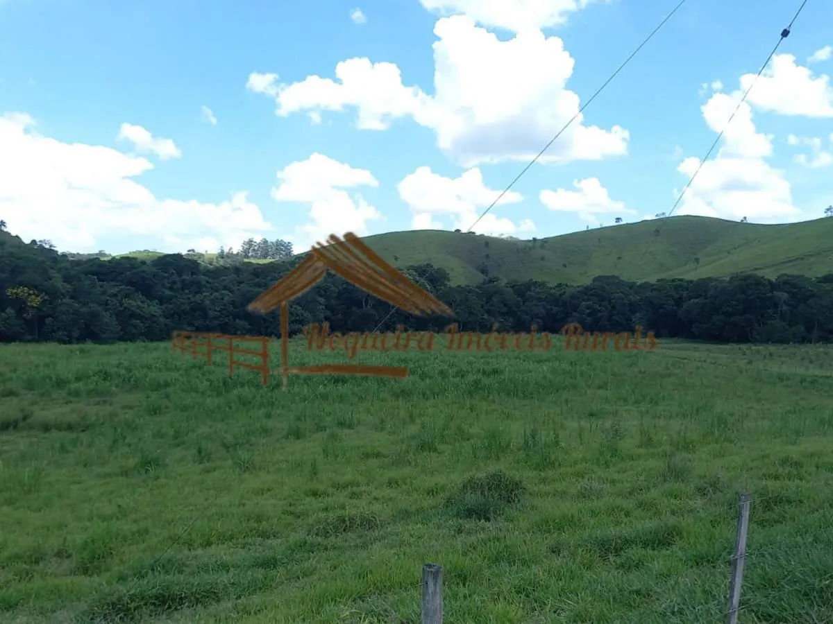 Fazenda à venda de 442 ha em Cunha, SP, Brasil