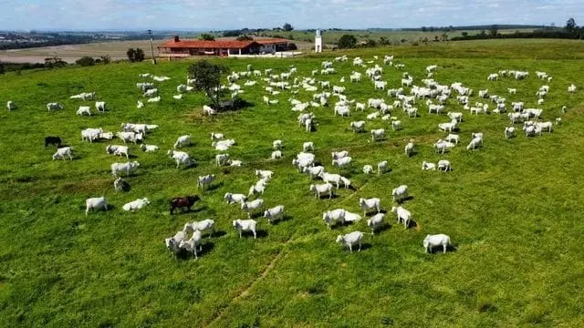Fazenda à venda de 169 ha em Sorocaba, SP, Brasil