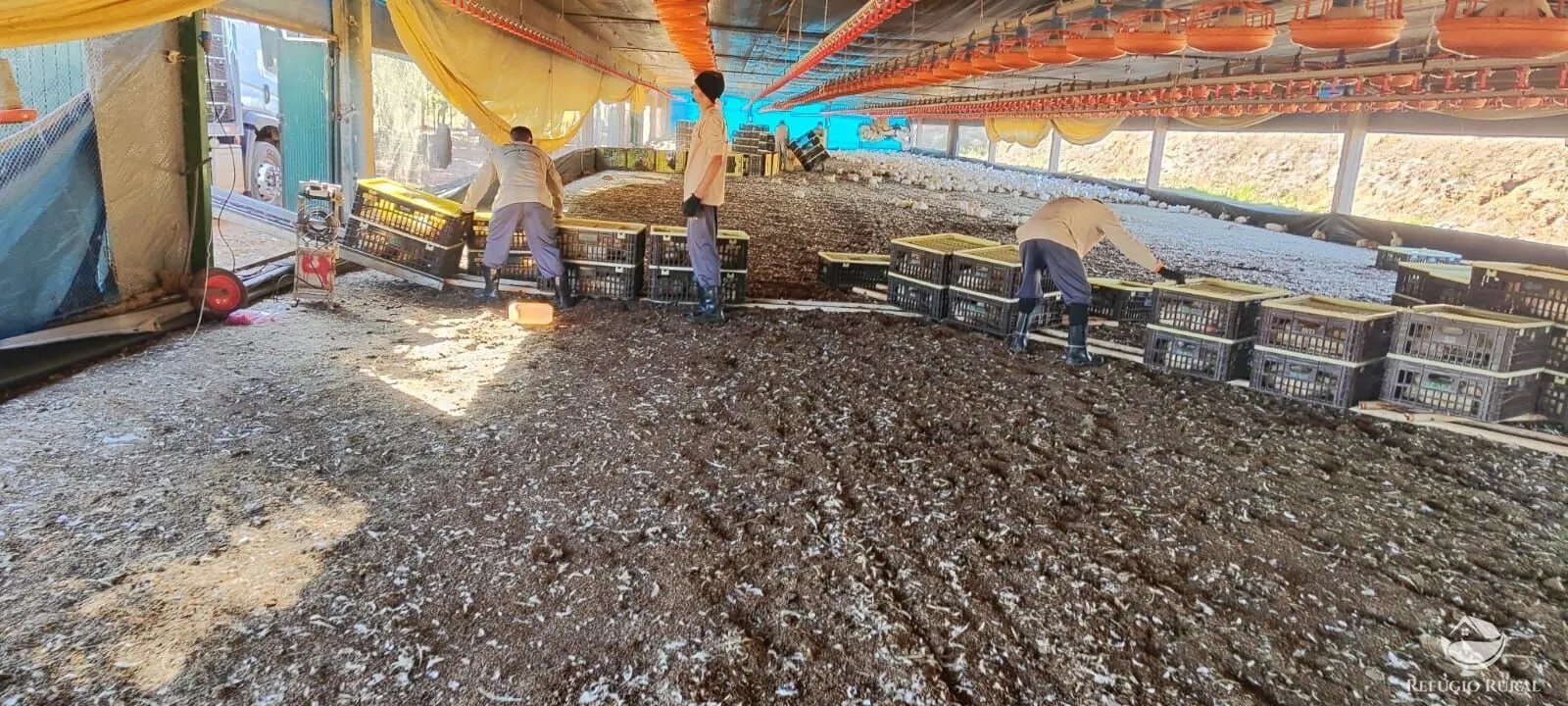 Fazenda à venda de 39 ha em Cocalzinho de Goiás, GO, Brasil