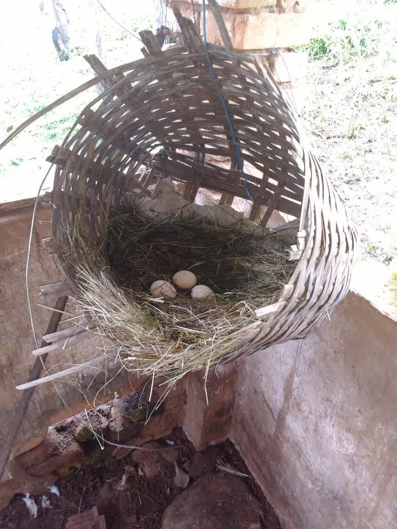 Sítio à venda de 4 ha em Lambari, MG, Brasil