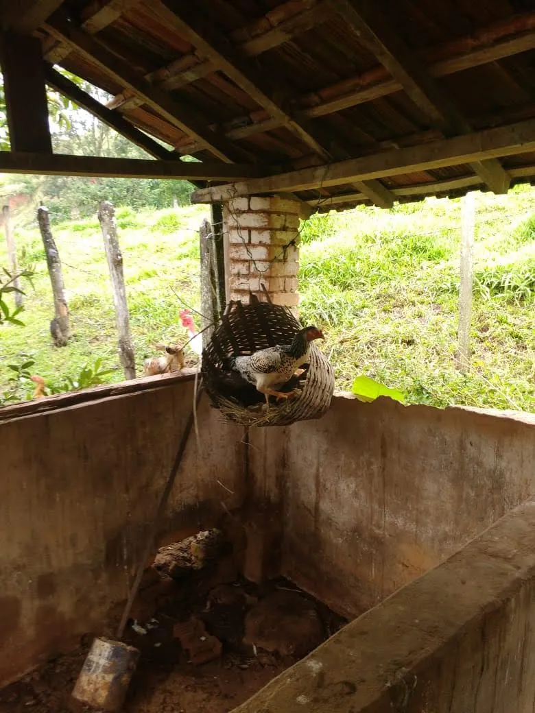 Sítio à venda de 4 ha em Lambari, MG, Brasil