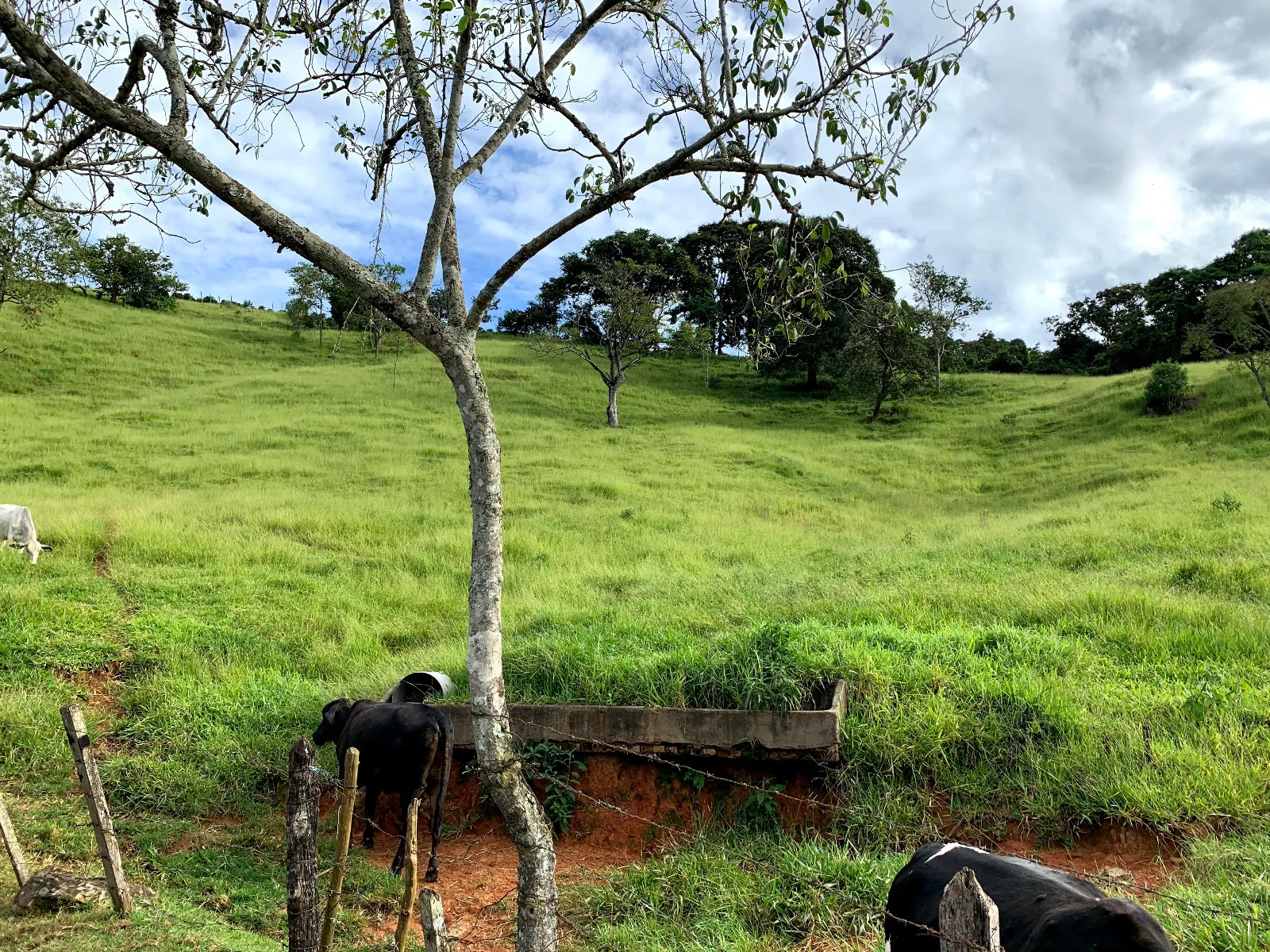 Sítio à venda de 4 ha em Lambari, MG, Brasil