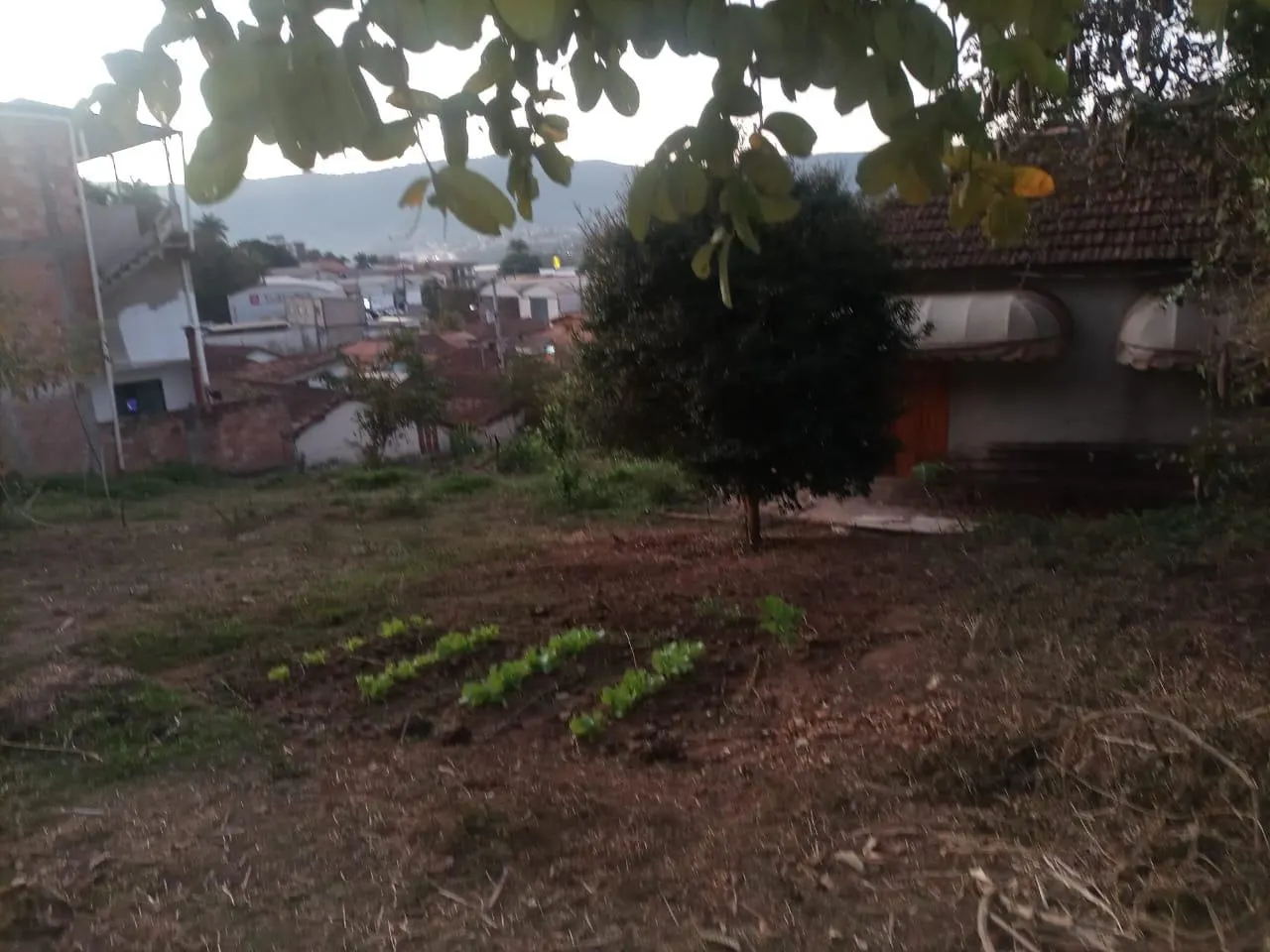 Sítio à venda de 4 ha em Lambari, MG, Brasil