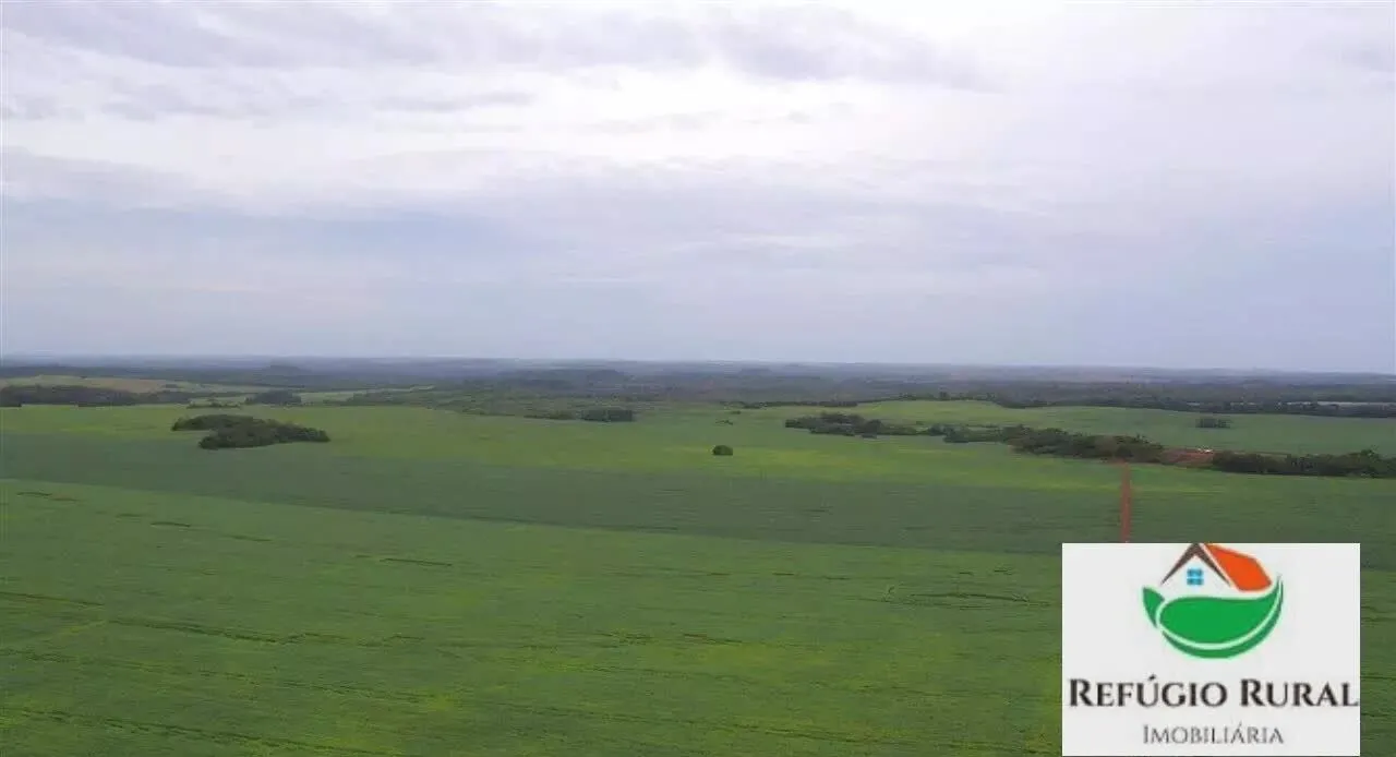 Farm for sale of 8,130 acres in Darcinópolis, TO, Brazil