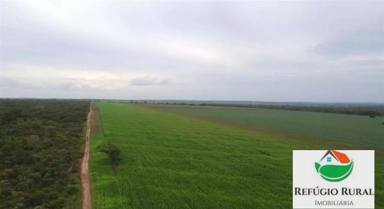 Farm for sale of 8,130 acres in Darcinópolis, TO, Brazil