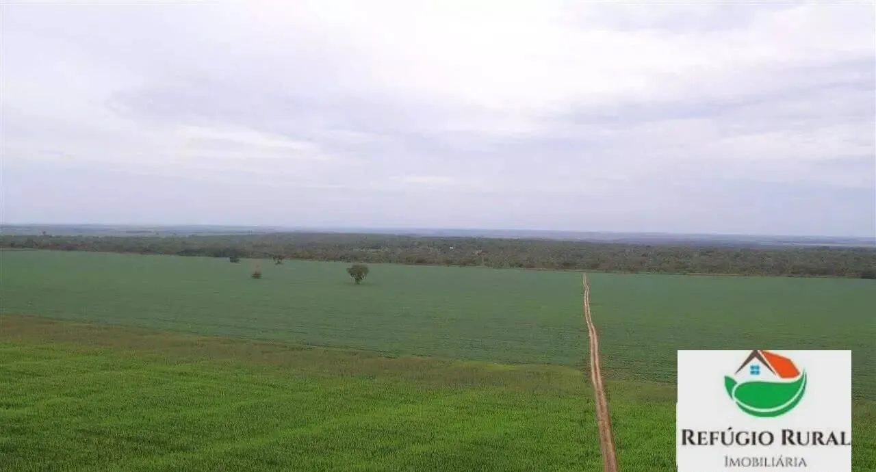 Farm for sale of 8,130 acres in Darcinópolis, TO, Brazil