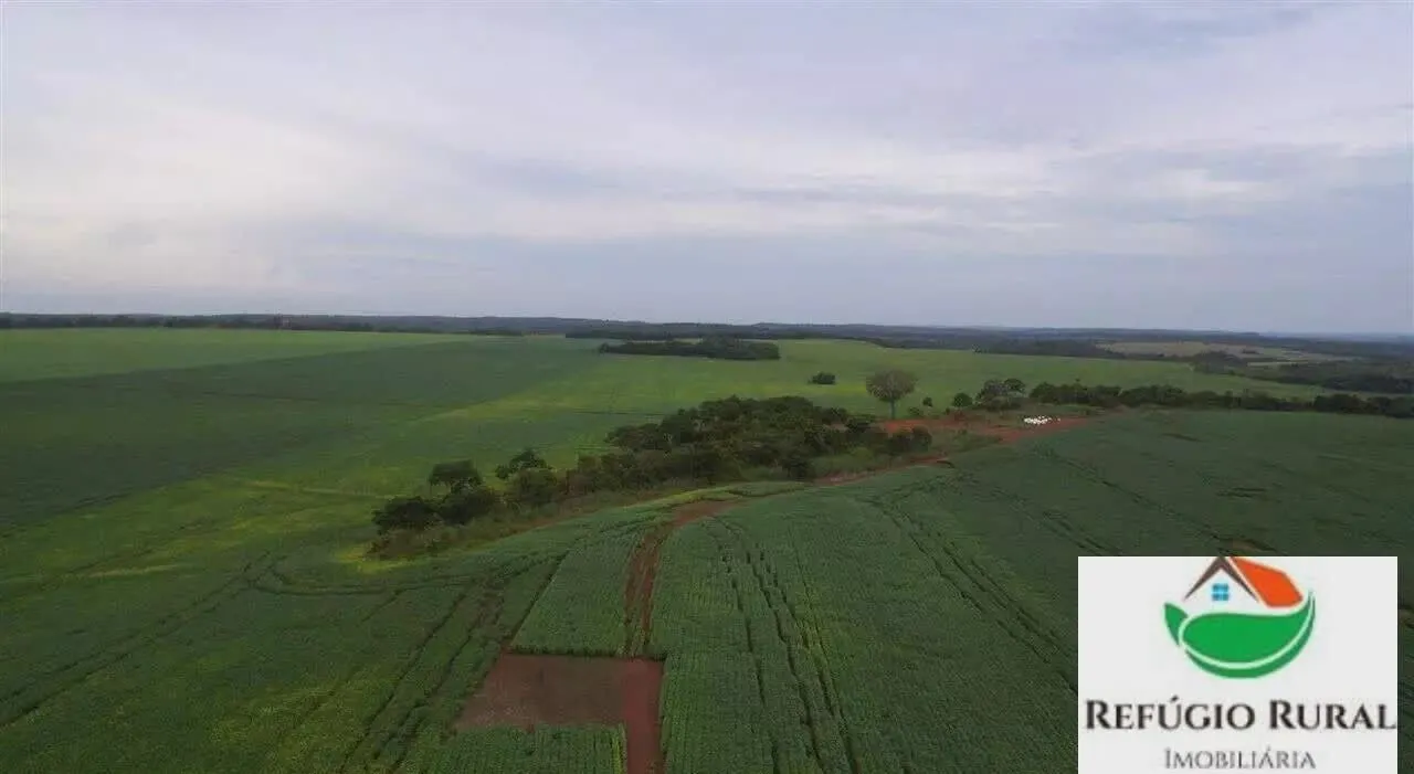 Fazenda à venda de 3.290 ha em Darcinópolis, TO, Brasil