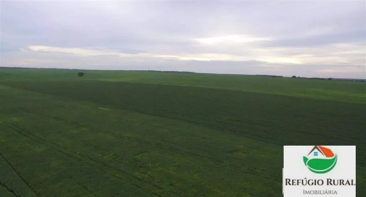 Farm for sale of 8,130 acres in Darcinópolis, TO, Brazil
