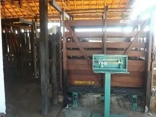 Fazenda à venda de 429 ha em Bauru, SP, Brasil