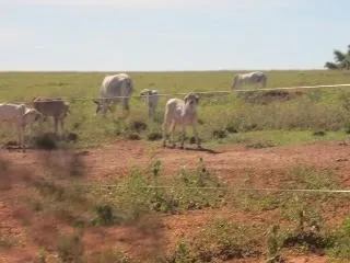Fazenda à venda de 429 ha em Bauru, SP, Brasil