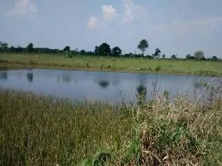 Fazenda à venda de 429 ha em Bauru, SP, Brasil