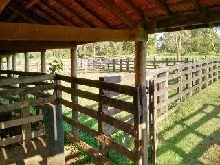 Fazenda à venda de 429 ha em Bauru, SP, Brasil