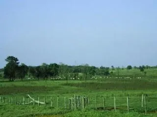 Fazenda à venda de 429 ha em Bauru, SP, Brasil