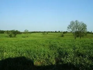 Fazenda à venda de 429 ha em Bauru, SP, Brasil