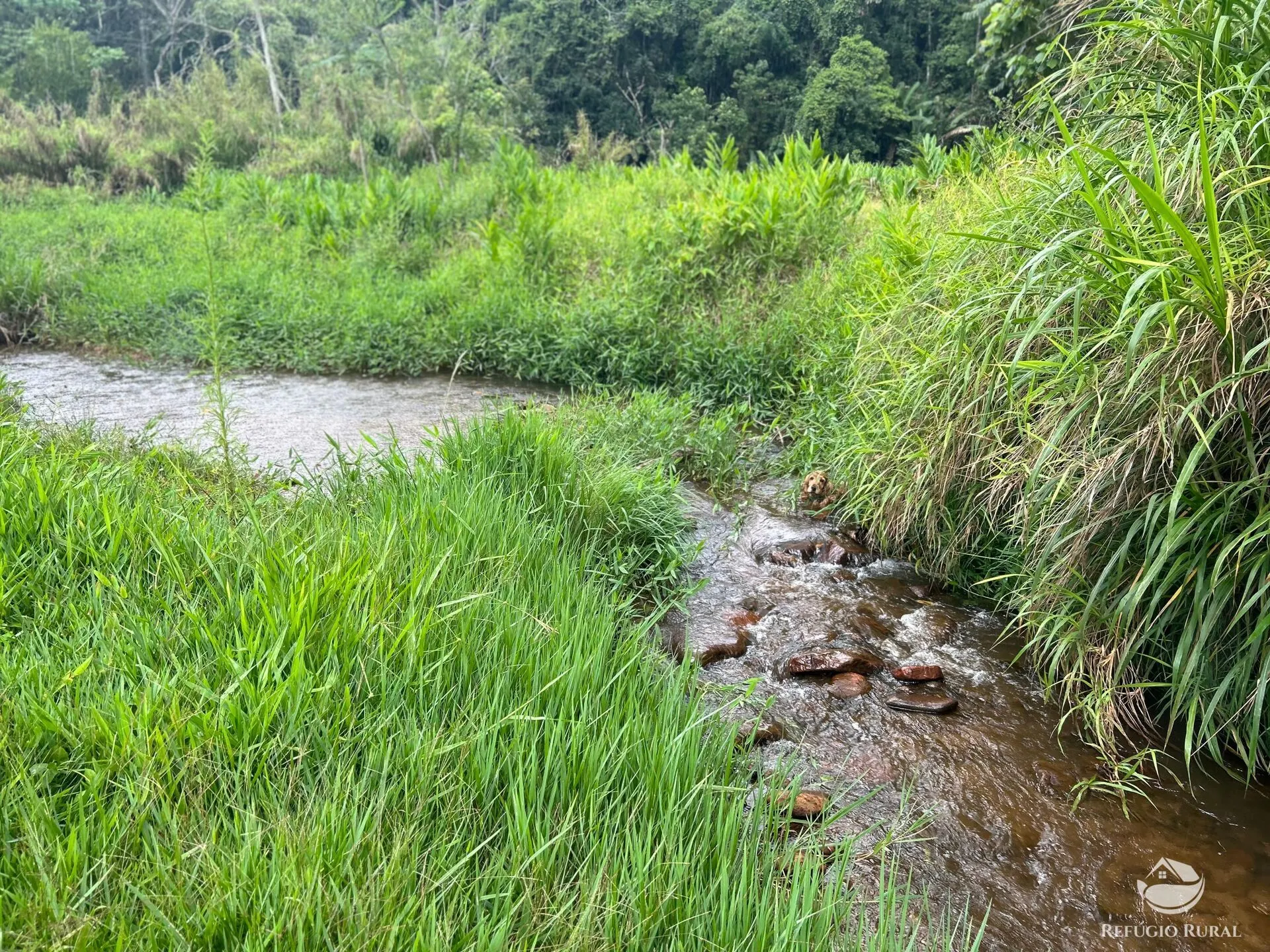 Sítio à venda de 24 ha em Monteiro Lobato, SP, Brasil