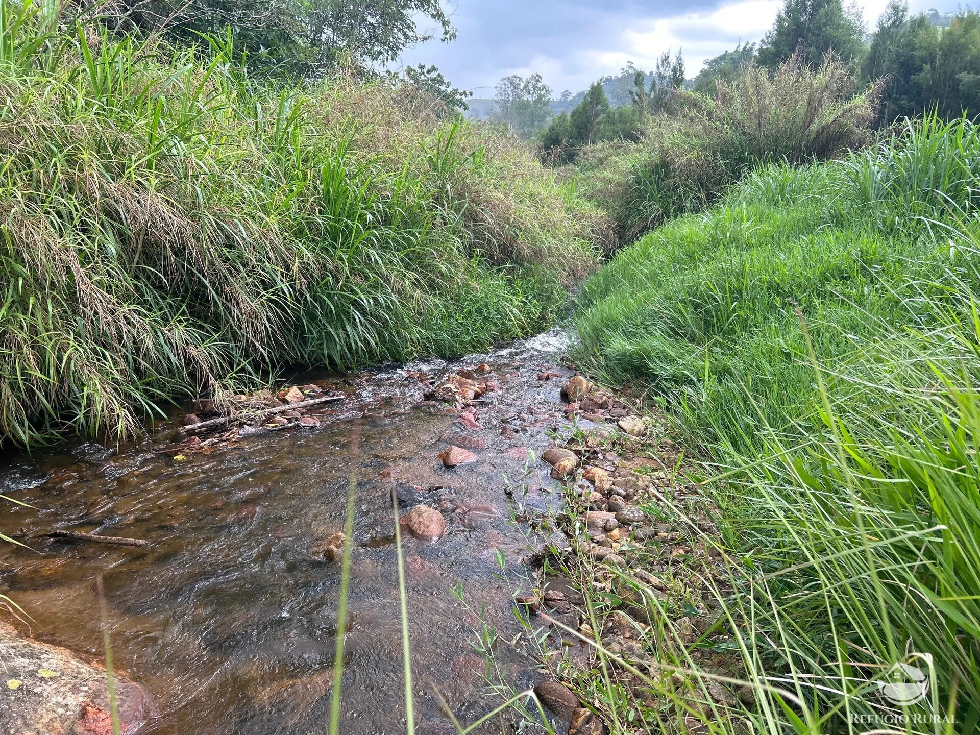 Sítio à venda de 24 ha em Monteiro Lobato, SP, Brasil