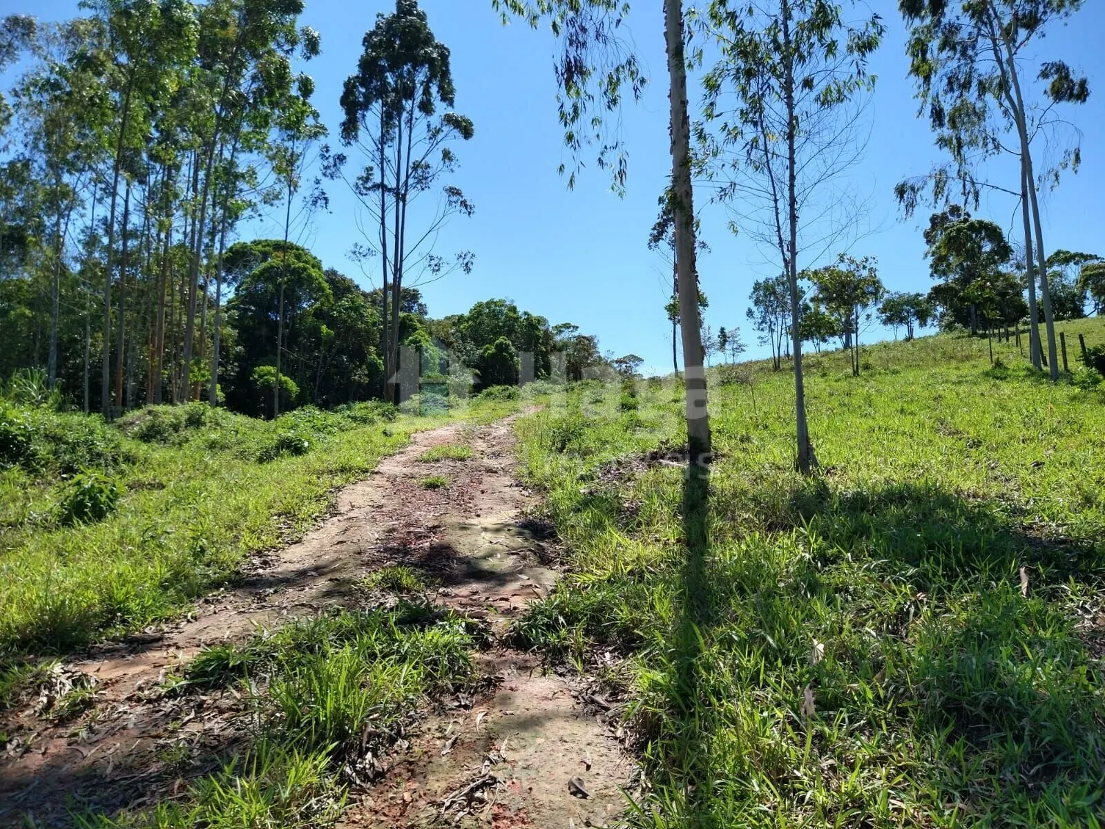 Country home for sale of 4 acres in Ilhota, SC, Brazil
