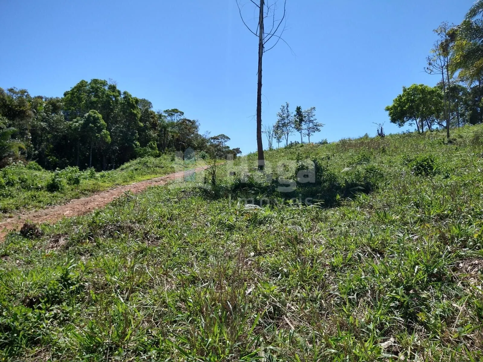 Country home for sale of 4 acres in Ilhota, SC, Brazil