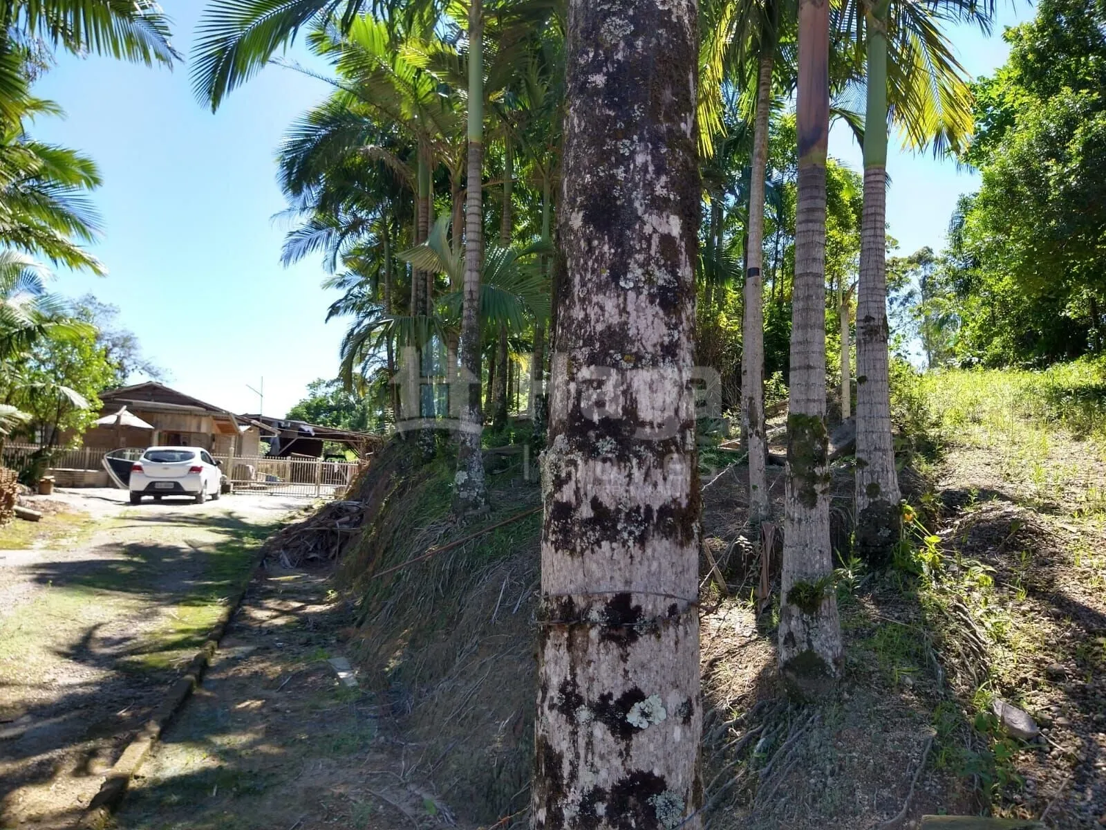 Country home for sale of 4 acres in Ilhota, SC, Brazil