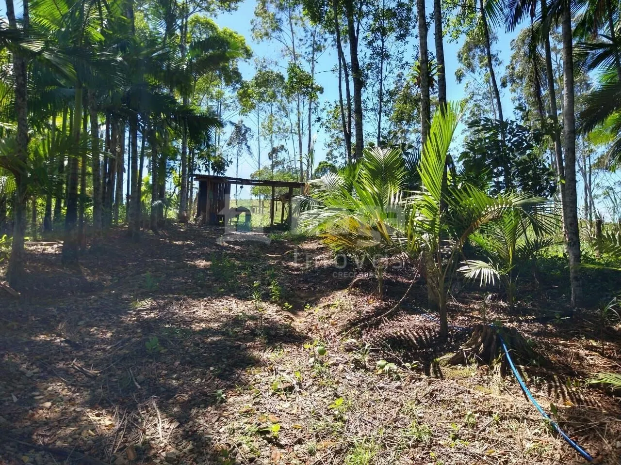 Country home for sale of 4 acres in Ilhota, SC, Brazil