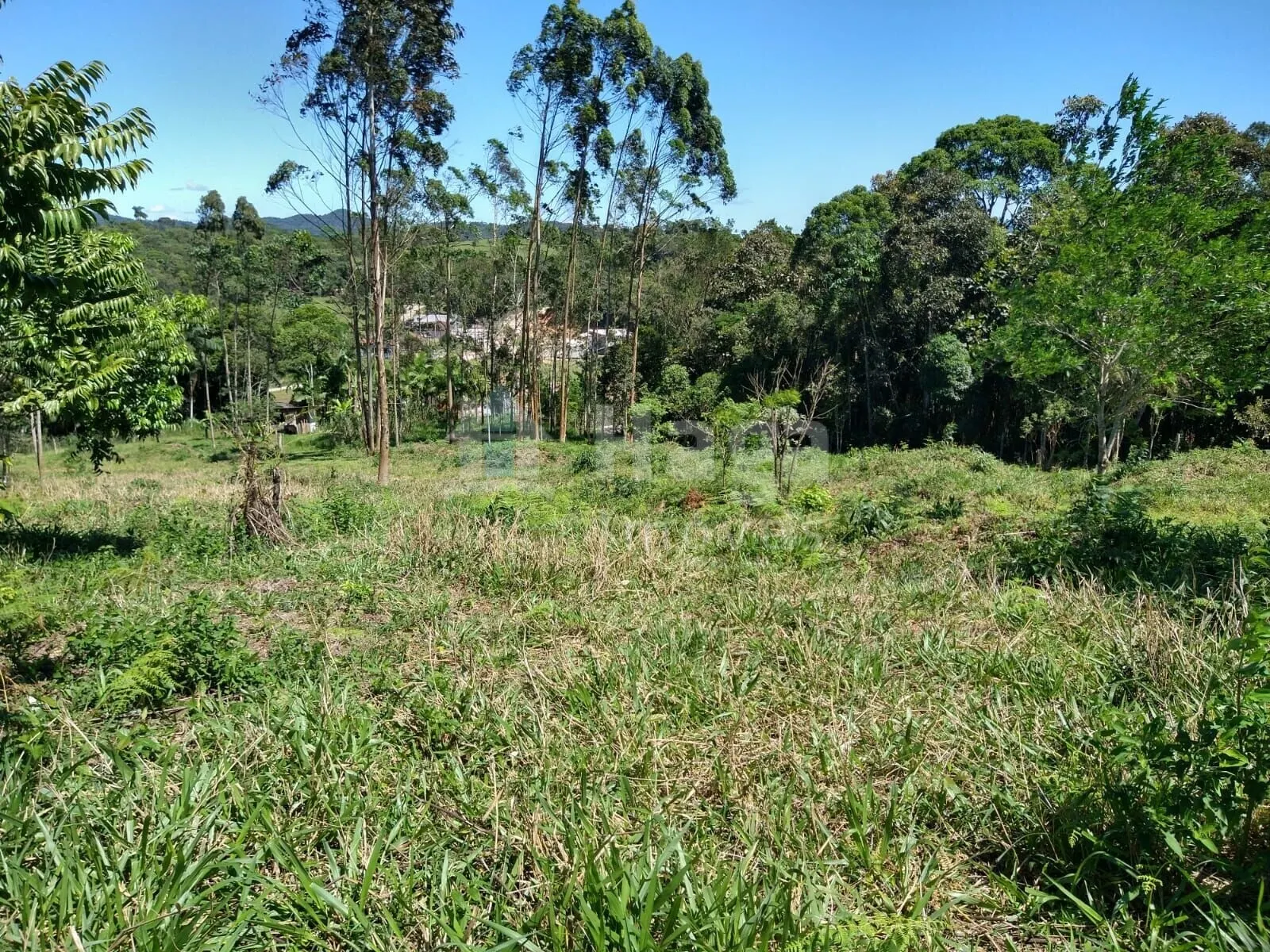Country home for sale of 4 acres in Ilhota, SC, Brazil