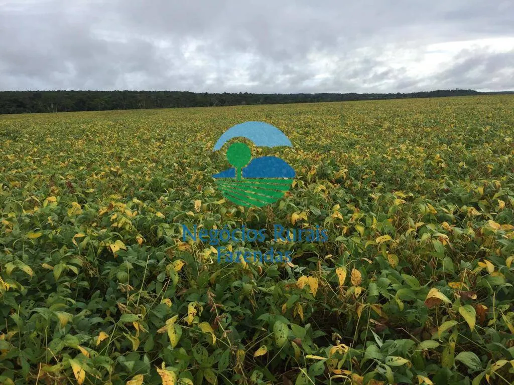 Farm for sale of 2,044 acres in Gurupi, TO, Brazil